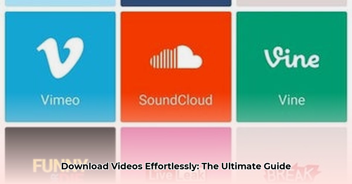 keepvid-video-downloader
